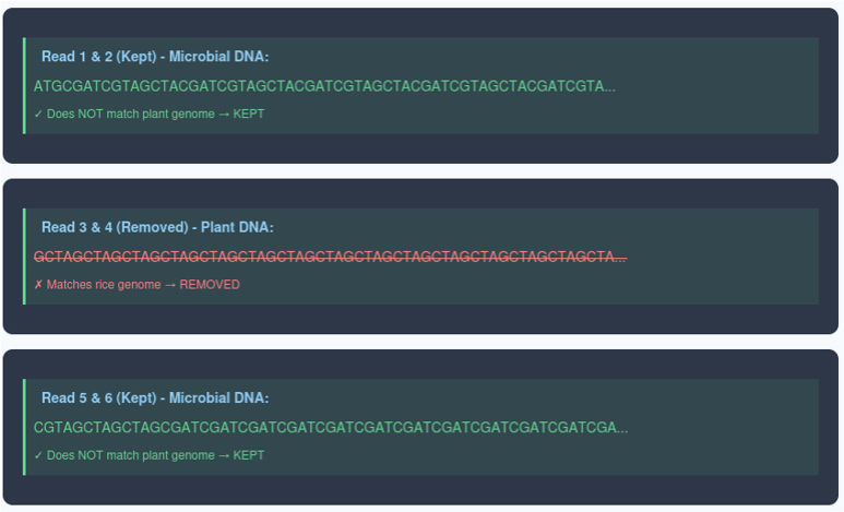 Decontamination explanation