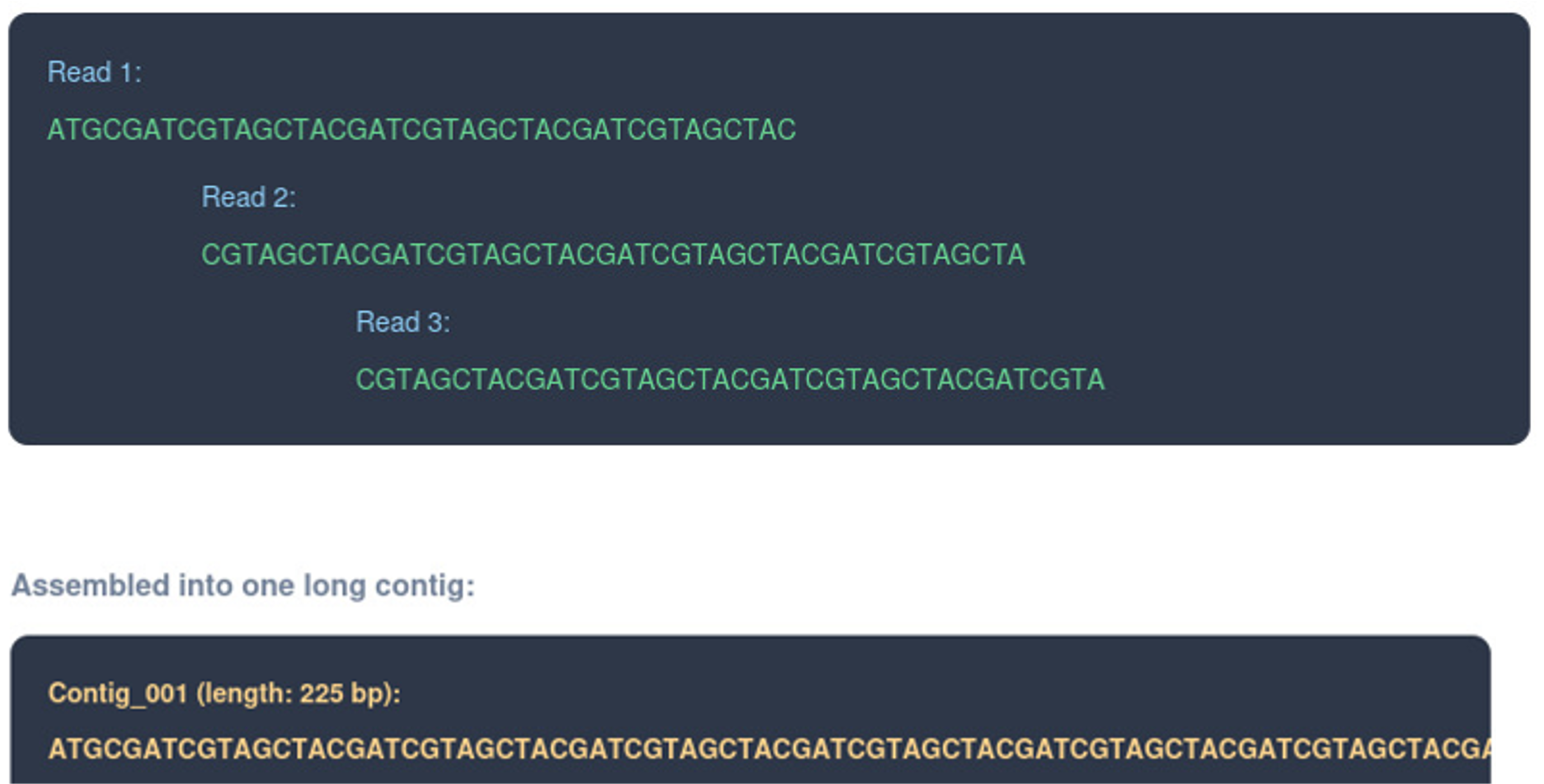 Assembly explanation