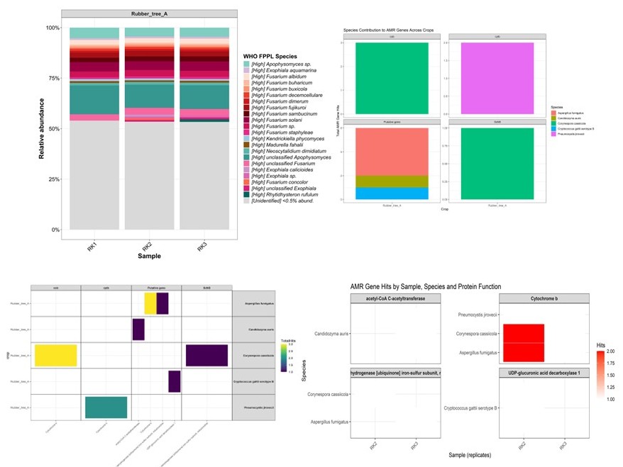 Visual example of fungal metagenomics data